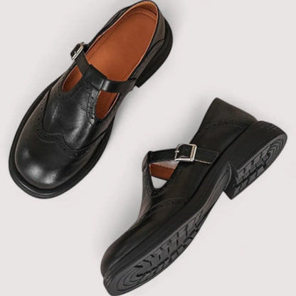 Women's Mary Jane Chunky Closed Toe Shoes
