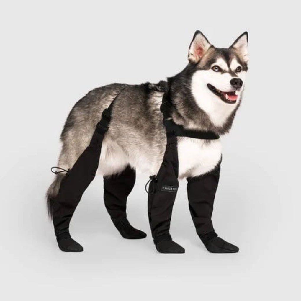 Durable Dog Boots Waterproof Rubber Medium - VibreMode