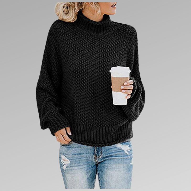 Women's Long Sleeve Knit Sweater Cozy Pullover