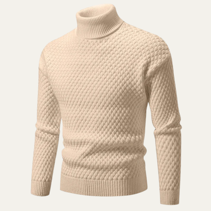 Men's Textured Knitted Turtleneck Sweater