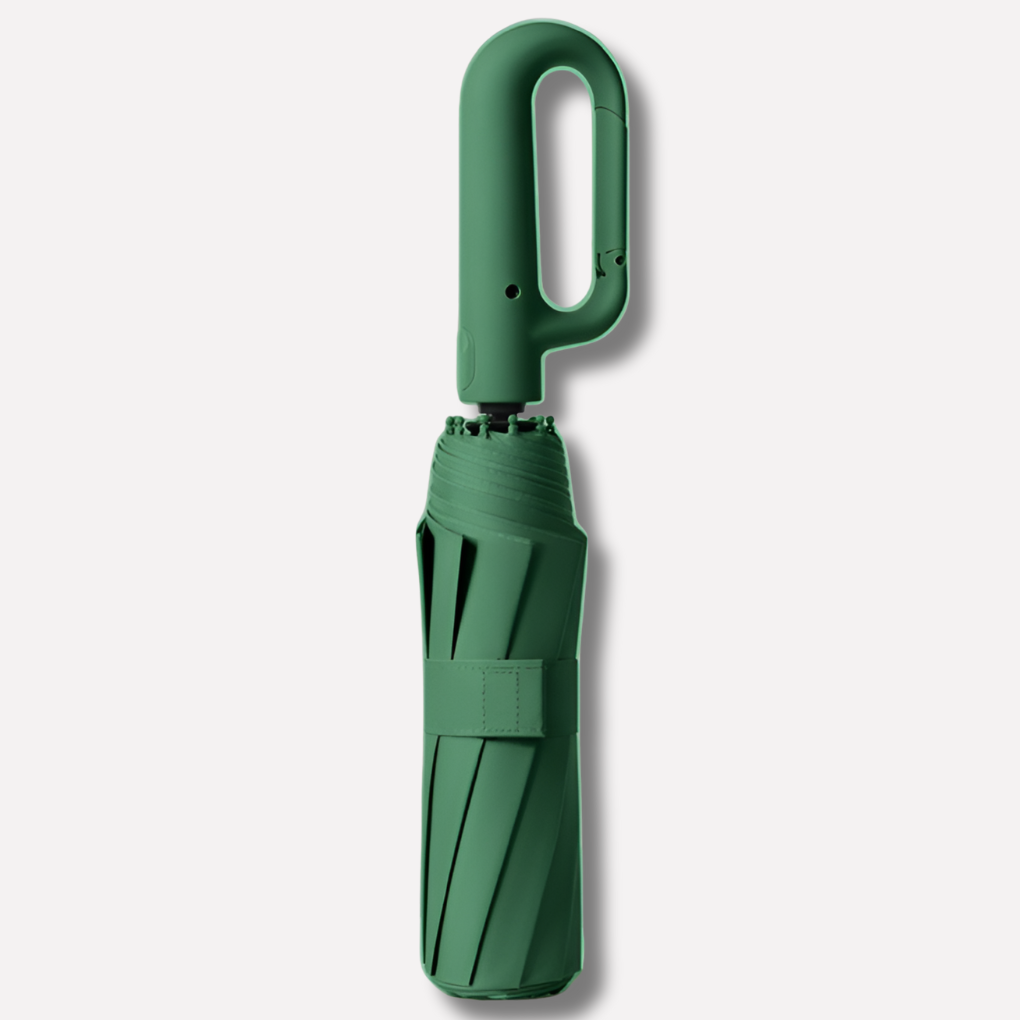 Windproof Auto Lock Umbrella