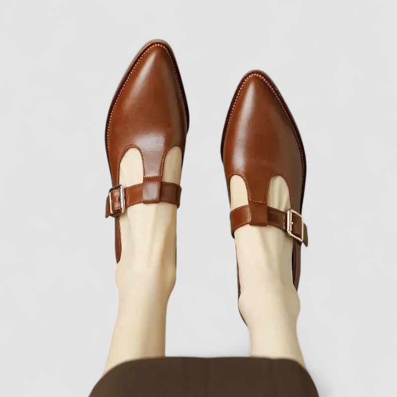 Women's Low Heel Pointed Toe Mary Jane Shoes