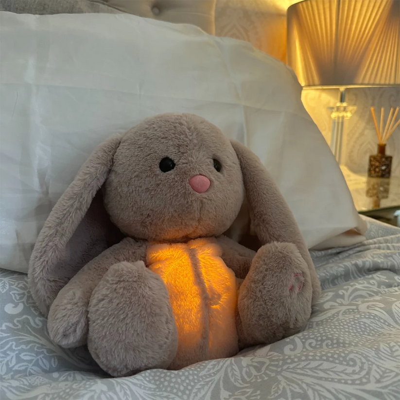 Calming Plush Toy