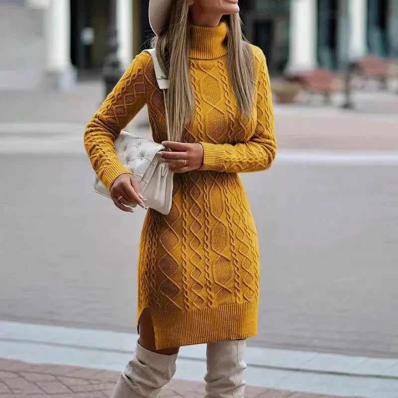 Women's Knit Turtleneck Dress