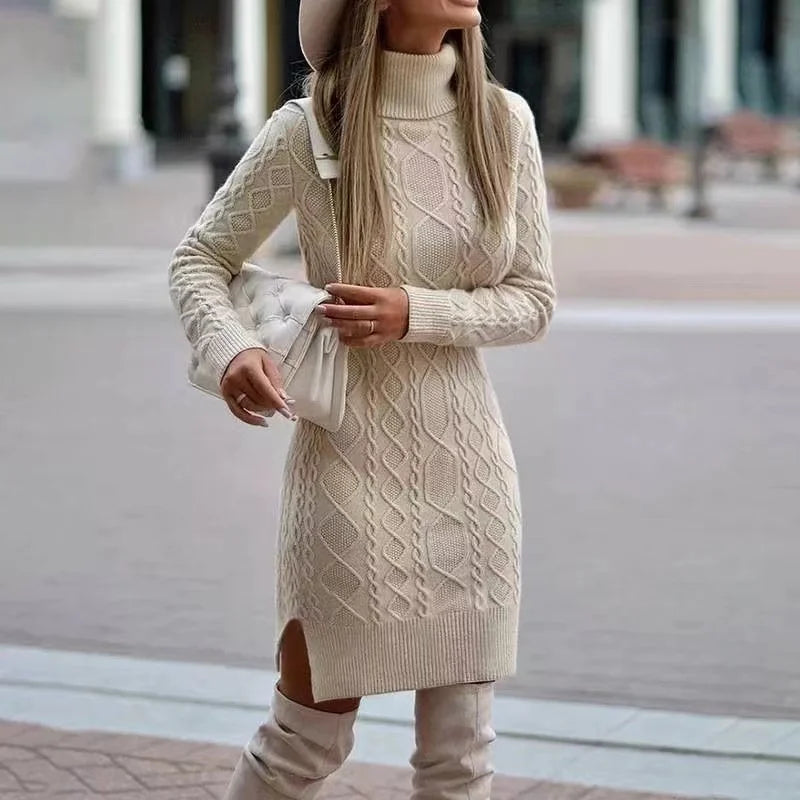 Women's Knit Turtleneck Dress