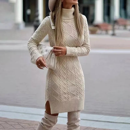 Women's Knit Turtleneck Dress