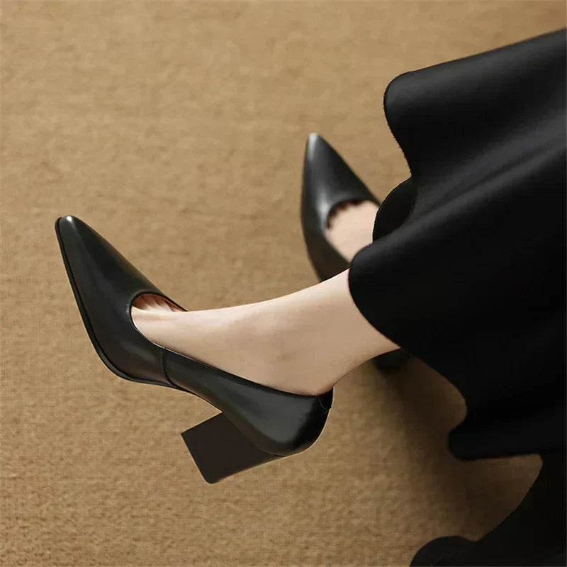 Venetia Women's Pointed Toe Block Heel Pumps