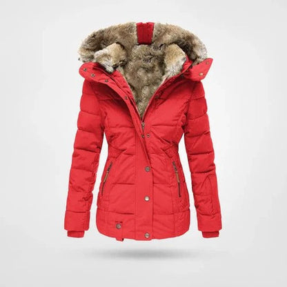 Image of Ellen | Women's Hooded Padded Jacket